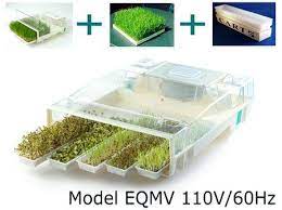 Easygreen Sprouter New Homesteader S Supply Self Sufficient Living Wheat Grass Micro Farm Microgreens