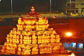 Ttd Senior Citizen Darshan At Tirumala