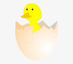 Looking for more animasi telur ayam menetas clipart, like null. 100 Gambar Ayam Menetas Terlihat Keren Gambar Pixabay