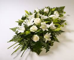 We did not find results for: Rose And Lily Single Ended Spray Brodies Blooms And Gifts