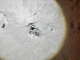 Image result for site:byggahus.se sluten-tank