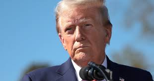 A look into how Trump performed among Michigan's Black and Hispanic voters 