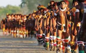 Durante as entrevistas, 40 espécies. Petition Citizens Of The World Supporting The Indians Guarani Kaiowa Change Org