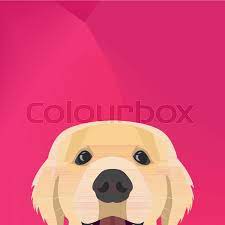 New users enjoy 60% off. Illustration Dog Golden Retriever Stock Vektor Colourbox