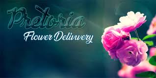 We did not find results for: The 9 Best Options For Flower Delivery In Pretoria 2021