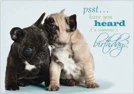 Birthday Wishes In French Pin By Jenny Dame On Paw Prints French Bulldog Puppies Bulldog Puppies French Bulldog
