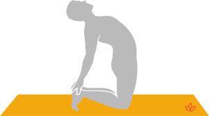 The camel pose benefits the spine and the front of the body by providing an intense stretch. What Is Camel Pose Definition From Yogapedia