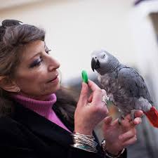 Association of Avian Veterinarians