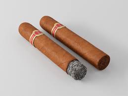Cigar Dunhill Cabinetta 3d Model Cigars 3d Model Smoke Animation