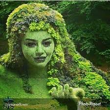 Beautiful Nature 🌼🌼🌿🍀🍀🌼