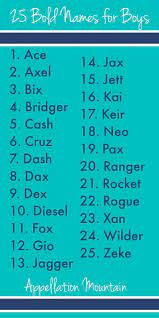 25 Bold Boy Names Inspired By Jax Appellation Mountain Short Boy Names Baby Name Generator Baby Names Short