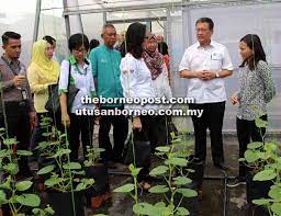 Kami menyediakan perkhidmatan kepada majikan dalam sarawak. Jabatan Pertanian Sarawak Rancang Bangunkan Banyak Tkpm Utusan Borneo Online