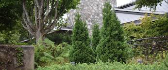 It left a blanket of snow and ice from the south in the us right up the corridor to new england. Fall Is The Best Time To Plant The North Carolina Arboretum