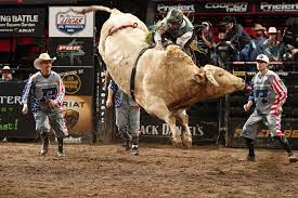 Sweeping panoramic views of neighboring idaho, lake roosevelt and canada provide a backdrop setting that is one of the most picturesque in the pacific northwest. Professional Bull Riders Unleash The Beast The Official Guide To New York City