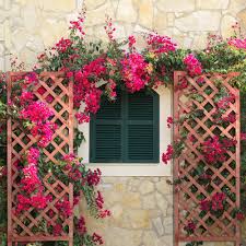 Outdoor Essentials 72 In Wood Diamond Lattice Trellis 352779 The Home Depot Lattice Trellis Wood Trellis Trellis