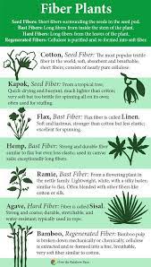 How To Use Credit Card To Build Credit Red Girl Blog Spinning Yarn Bamboo Planters Fiber