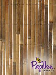 Bambusmatte 150cm X 400cm Leisten 7 00m Natur Papillon Bambuszaun Sichtschutzmatten Alte Zaune