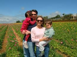 The flower fields' land is owned by one of the premiere growers of poinsettias nearby so the exhibit is always impressive. Carlsbad Flower Fields With Kids