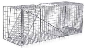See full list on nexles.com How To Get Rid Of Beavers Top 7 Beaver Traps Repellents