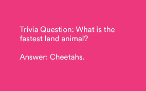 It's like the trivia that plays before the movie starts at the theater, but waaaaaaay longer. 101 Animal Trivia Questions Answers Hard Easy