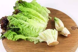 Use the top of the lettuce to make a salad or whatever you do with lettuce. How To Regrow Lettuce From Scraps Gardener S Path