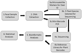 Flow Chart Of Procedures For Collecting Extracting And