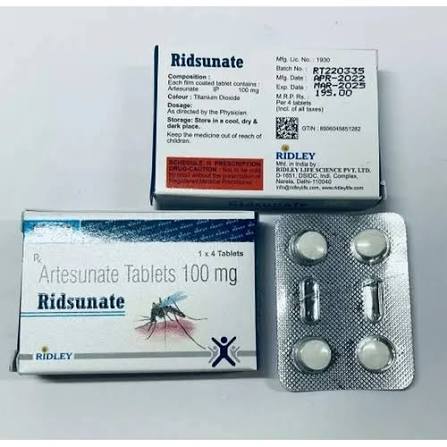 Ridsunate - 100mg Artesunate Tablet | General Medicine, Keep In Cool & Dry Place, As Directed By Physician at 195.00 INR at Best Price in Nagpur | M N H International