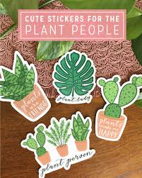 There are around 2000 different species of cactus that differ in size, shape, color and type of habitat. Plant Sticker Set Crazy Plant Lady Gift Cactus Sticker Plant Person Sticker Monstera Sticker Hand Drawn Stickers Water Bottle Decal Cute Stickers Etsy Stickers Sticker Art