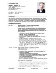 We have professional cv examples from experts in your industry. 30 Cvs Ideas Resume Examples Good Resume Examples Resume