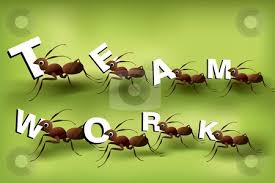 Pin On Aie Board Ants vector clipart and illustrations (9,705). pin on aie board