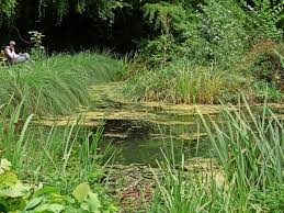 Alter botanischer garten göttingen haupteingang untere karspüle 1 37037 göttingen öffentlichkeitsarbeit u. Alter Botanischer Garten In Gottingen