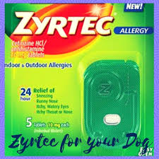 Zyrtec For Dogs Safety Tips You Dont Want To Skip