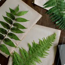 Internet archive open library book donations 300 funston avenue san francisco, ca 94118. Made With Love Pressed Botanical Specimens Design Sponge