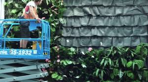 Nz drivers licence or passport. Hanging Gardens Vertical Gardens Green Walls Green Facades