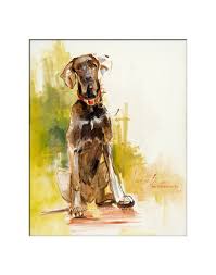 These sweet, noble, working dogs are a delight to live with, easy to housebreak, and train. Pin On Mini Schnauzer Love
