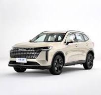HAVAL Supplier, OEM/ODM HAVAL | Zhuoyacar.com