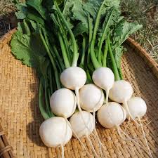 Image result for turnip