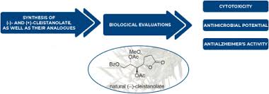 Image result for Cleistochlamys