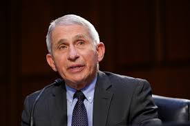 Now, thousands of fauci's emails have. The Fire Fauci Act Here S What Qanon S Favorite Republican Doesn T Understand About Federal Employment Law