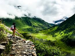 We did not find results for: Valley Of Flowers Hemkund Trek A Tryst With The Gorgeous Himalayan Beauties Whistling Hound