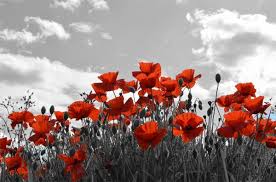 Black And White With Color Photoshop Black And White With A Splash Of Colour Color Splash Art Color Splash Color Splash Photography