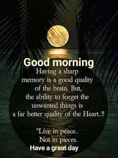 Image result for good morning quotes"