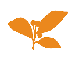 Check spelling or type a new query. Shelby Dental Care Center Home Facebook