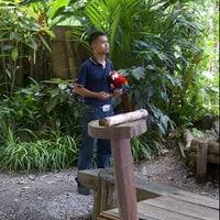 Zoo taman hidupan liar lok kawi sabah скачать. Taman Hidupan Liar Zoo Lok Kawi Zoo Exhibit