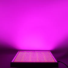 Led grow light 100w led plant grow light. Important Two Major Effects Of 730nm Far Red Leds On Plants Growth By Led Sinjia Medium
