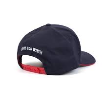 These are the complete grand prix racing results for red bull racing. Aston Martin Red Bull Racing Formula 1 Team Classic Kids Cap Clothing Caps Shop By Team Formula 1 Teams Infiniti Red Bull Racing F1store Net