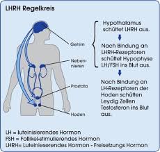 Allerdings hat das gel eben eine sehr starke wirkung und die nebenwirkungen sind nicht zu. Medikamentose Unterdruckung Der Testosteronproduktion