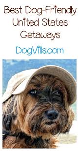 Where Are The Best Dog Friendly United States Getaways Dog Friends Dog Friendly Vacation Best Dogs