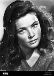 Ian Filer's Instagram, Twitter & Facebook