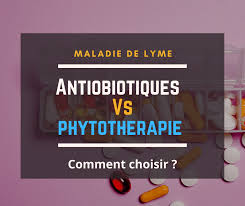 L'estrie est d'ailleurs la région du québec où le plus de cas de cette maladie sont répertoriés. Antibiotiques Vs Phytotherapie Maladie De Lyme Quel Traitement Choisir
